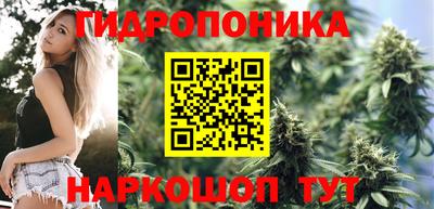 хмурый Канаш