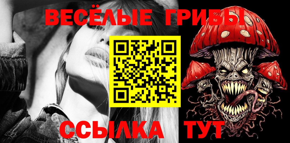 Псилоцибиновые грибы ЛСД Дербент