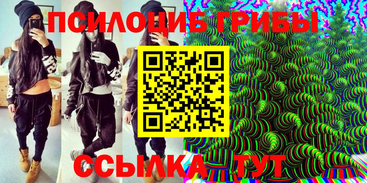 Псилоцибиновые грибы Cubensis  Вход с VPN  Дербент 